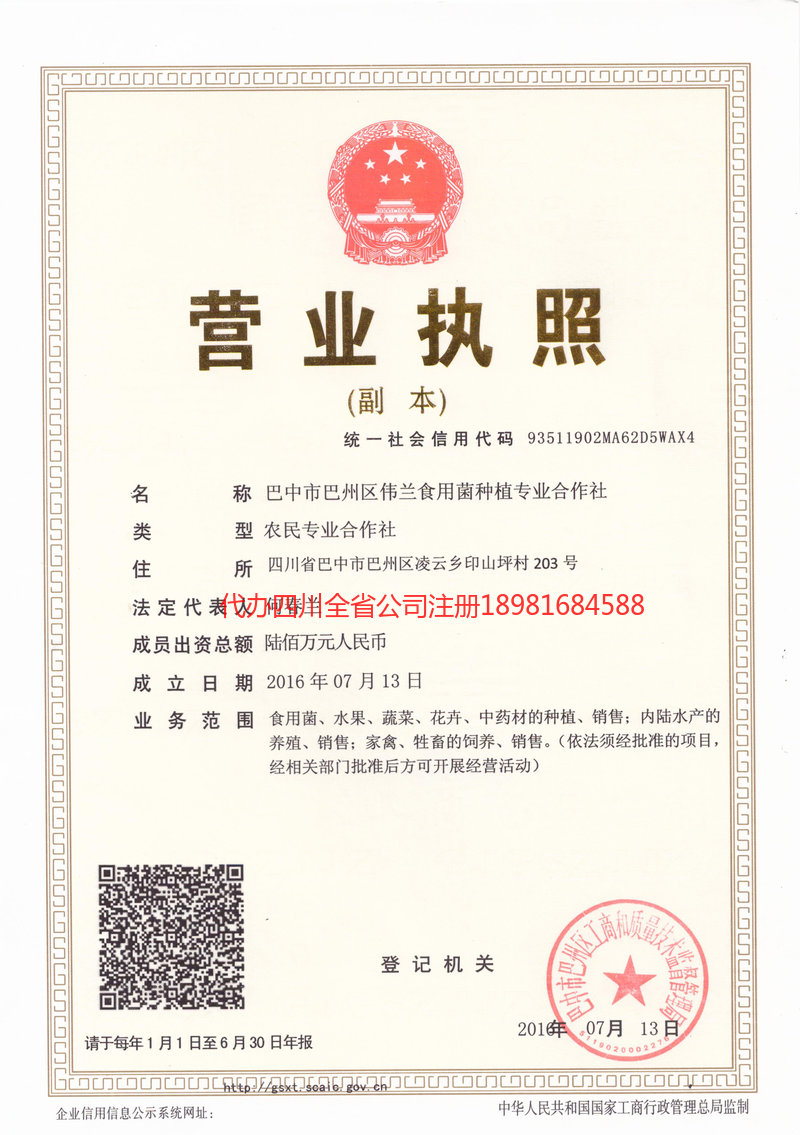 界首界首伟兰食用菌种植专业合作社